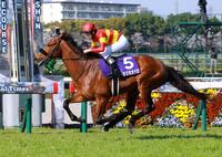 　大阪杯を制したベラジオオペラ（撮影・石湯恒介）