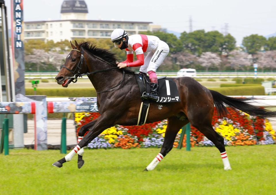 ダノンシーマ＝阪神競馬場（撮影・石湯恒介）