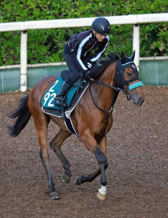 ソフトバンク・柳田の所有馬ゴッドヴァレーはひめさゆり賞か阪神５Ｒ・１勝クラスへ