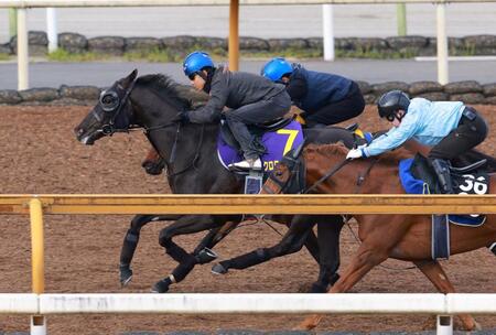 【皐月賞】クロワデュノール　先週から一変　北村友「ガラッと変わって素晴らしい動き」３頭併せで最先着
