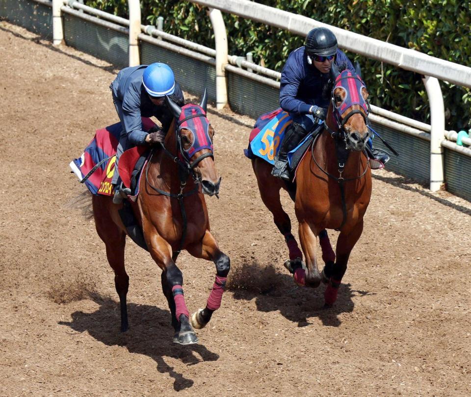 　文句なしの態勢を整えたエンブロイダリー（左）＝撮影・石井剣太郎