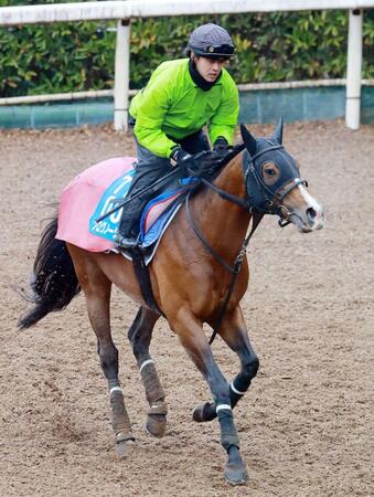 香港チャンピオンズデー選出ＪＲＡ所属馬を発表　クイーンエリザベス２世Ｃにプログノーシス、リバティアイランドなど