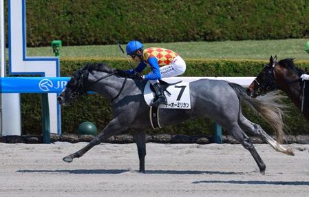 　阪神２Ｒを制したテーオーミリカン（撮影・石湯恒介）