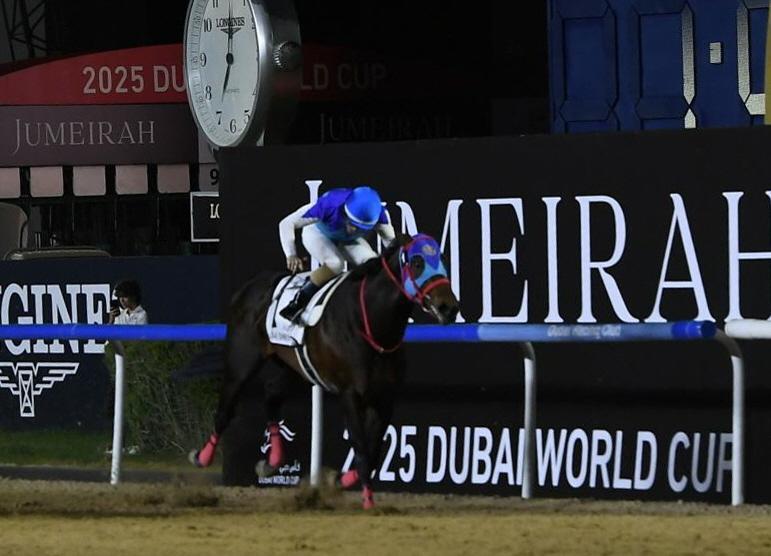 　ＵＡＥダービーを制したアドマイヤデイトナ