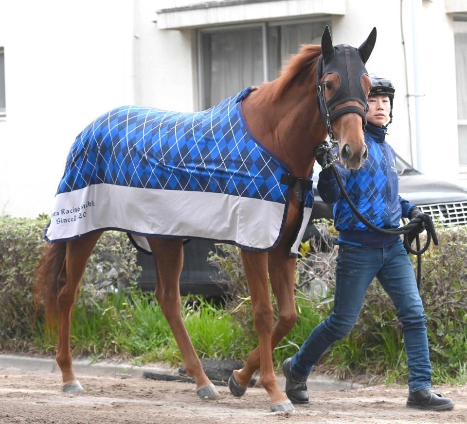 　フィリーズＲ３着から逆転戴冠を狙うボンヌソワレ