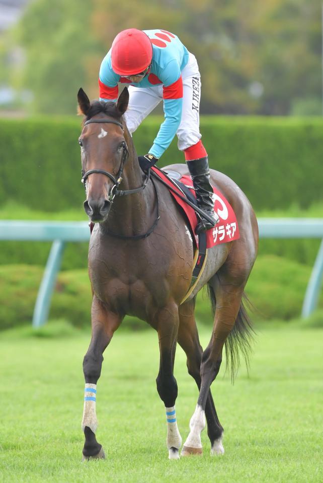 サレジオの母サラキア