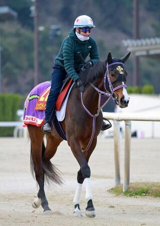 【桜花賞】リンクスティップ　心身両面で成長　万全でＧ１へ　雨も歓迎「スタミナ勝負なら」