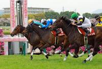 　接戦をものにしたサフィラ（左端）＝撮影・石湯恒介