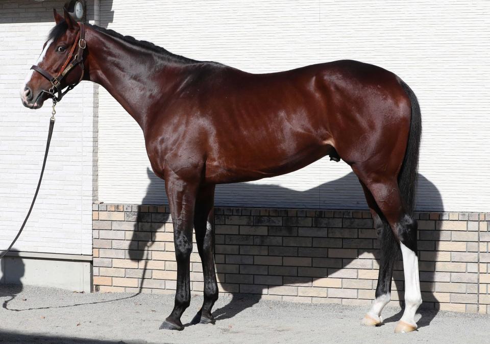 　ローシャムパーク