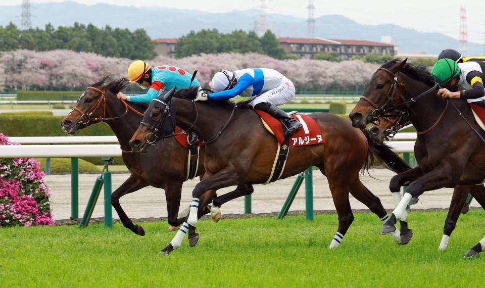 　接戦をものにしたサフィラ（左）＝撮影・石湯恒介