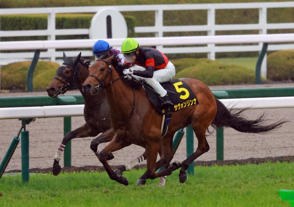 　忘れな草賞を制したサヴォンリンナ（撮影・石湯恒介）