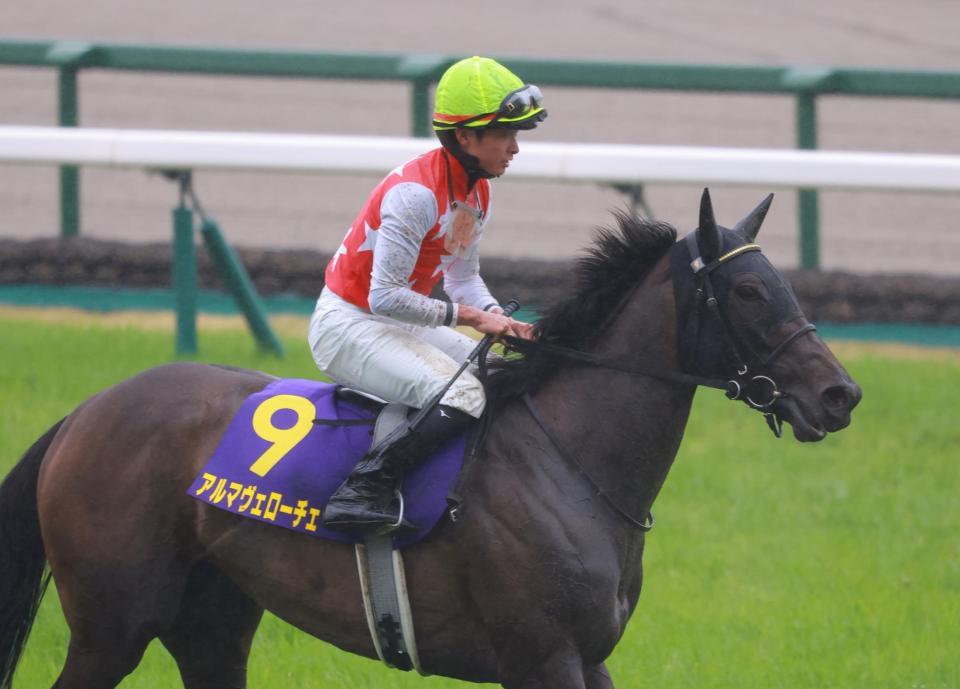 　２着に敗れたアルマヴェローチェ（撮影・石湯恒介）