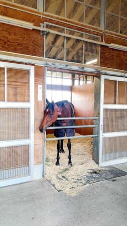 　エンブロイダリー