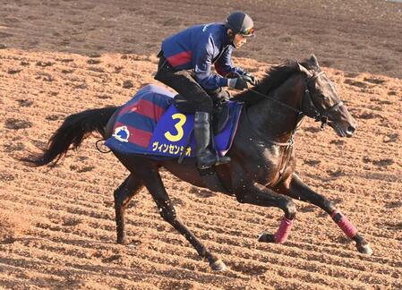 　興味深い血統を持つヴィンセンシオ