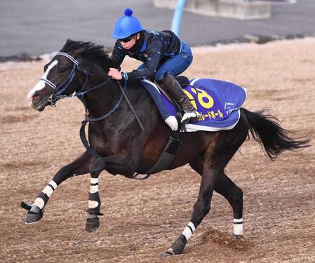 　データ班が推奨するマスカレードボール