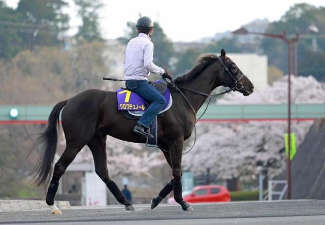 皐月賞】クロワデュノール 無敗戴冠へ！態勢万全 北村友「自信を持って