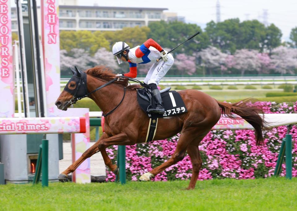 　阪神９Ｒをミアステラで制した幸＝１２日