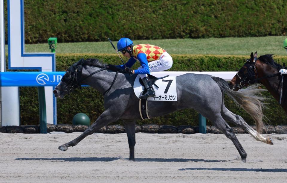 　阪神２Ｒを制したテーオーミリカンで制した藤岡康太さんの兄・藤岡佑＝１２日