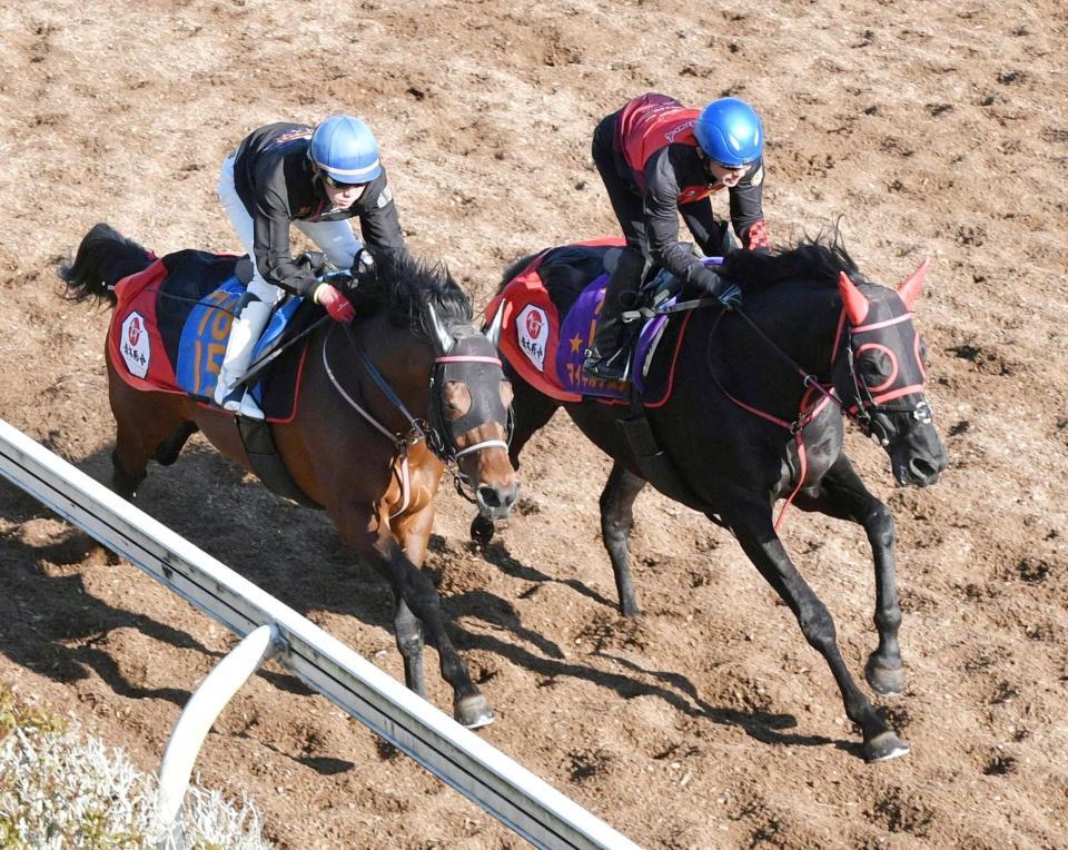 　美浦坂路で２頭併せで追い切るマイネルグロン（右）＝撮影・持木克友