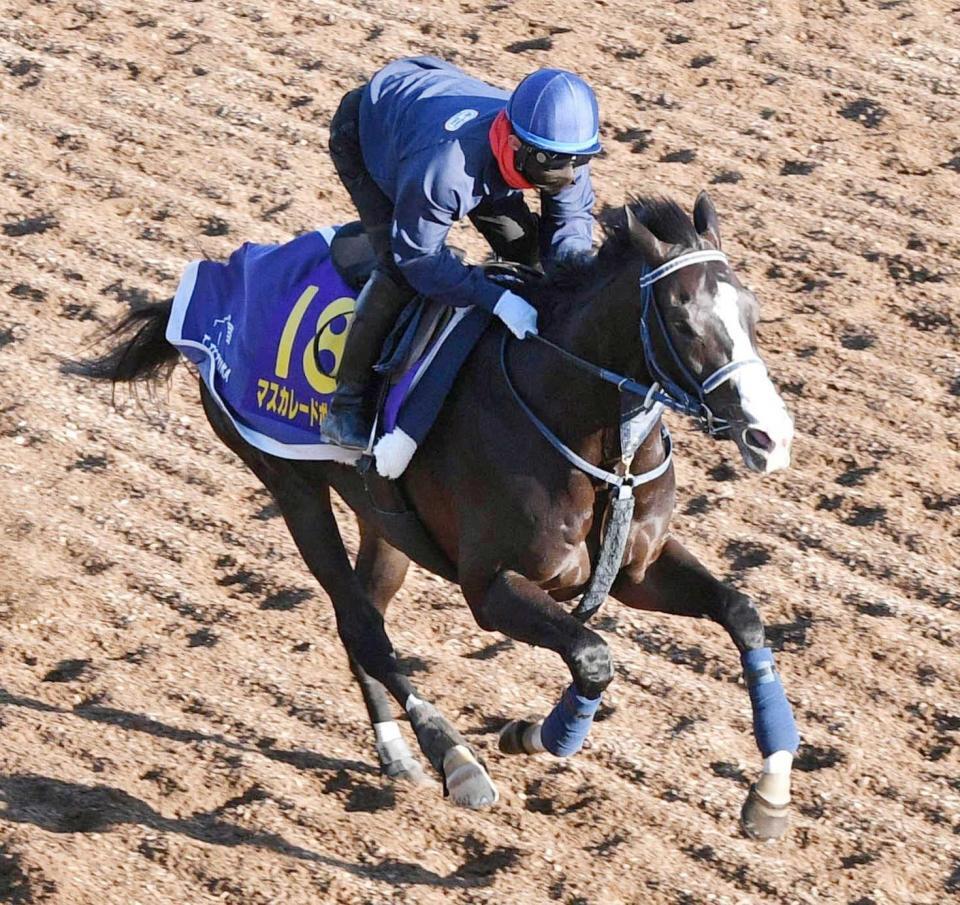 　３頭併せで最先着を決めたマスカレードボール（撮影・持木克友）