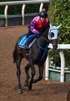 　佐々木師が自信を持って送り出すネビーイーム