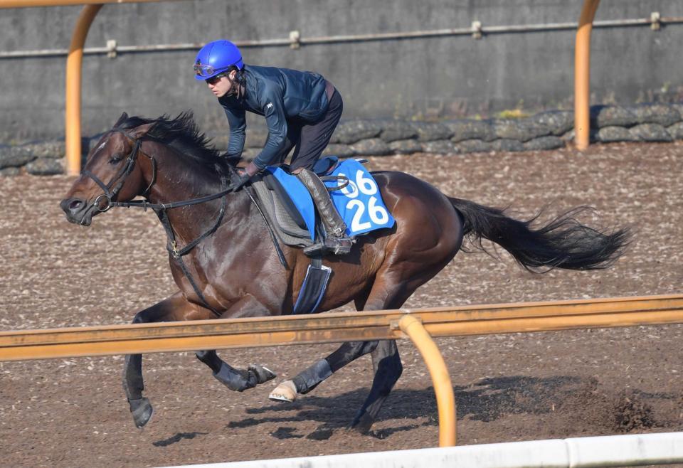 　佐々木師が自信を持って送り出すインプレス