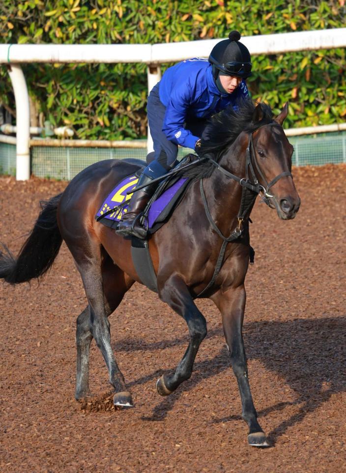 　ミュージアムマイル