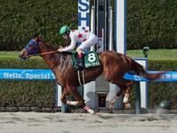 　アンタレスＳを制したミッキーファイト（撮影・石井剣太郎）