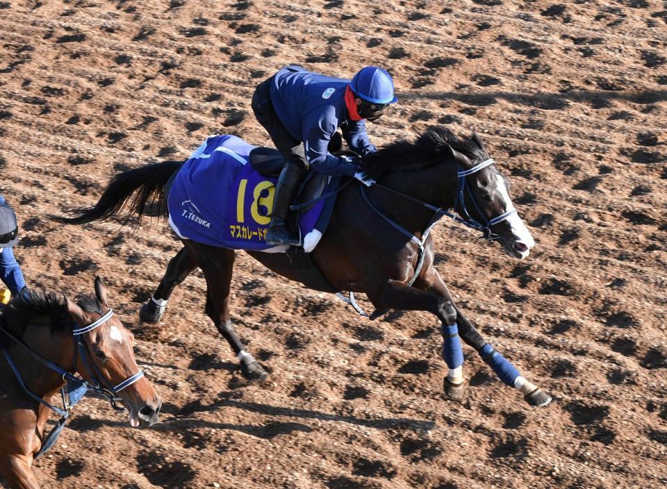 　マスカレードボール