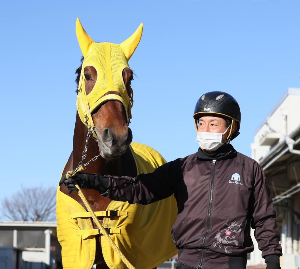 ブリサマリーナの兄ワープスピード