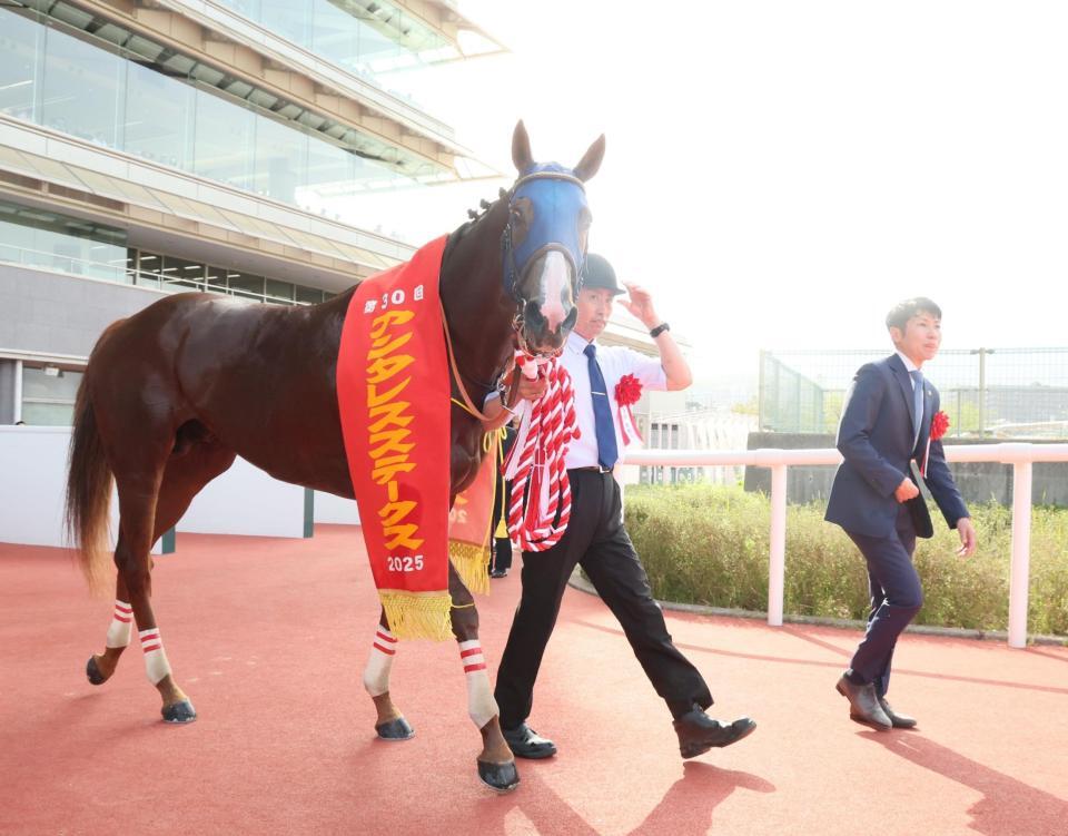 　アンタレスＳを制したミッキーファイト（撮影・石井剣太郎）