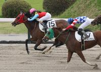 　チュラビックタイムの猛追を振り切る古川奈穂騎乗のブルーカミング（左）