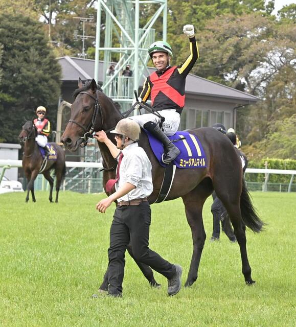 ミュージアムマイル メイクデビュー中京～弥生賞 全５戦 現地単勝馬券♪ sddefault.jpg
