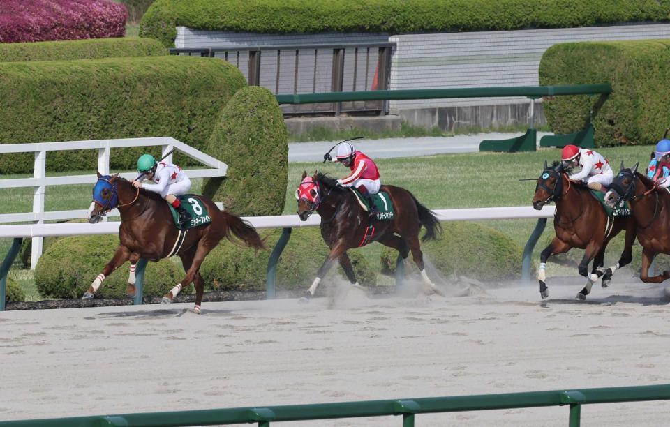 　悠々と抜け出したミッキーファイト（左）＝撮影・石井剣太郎