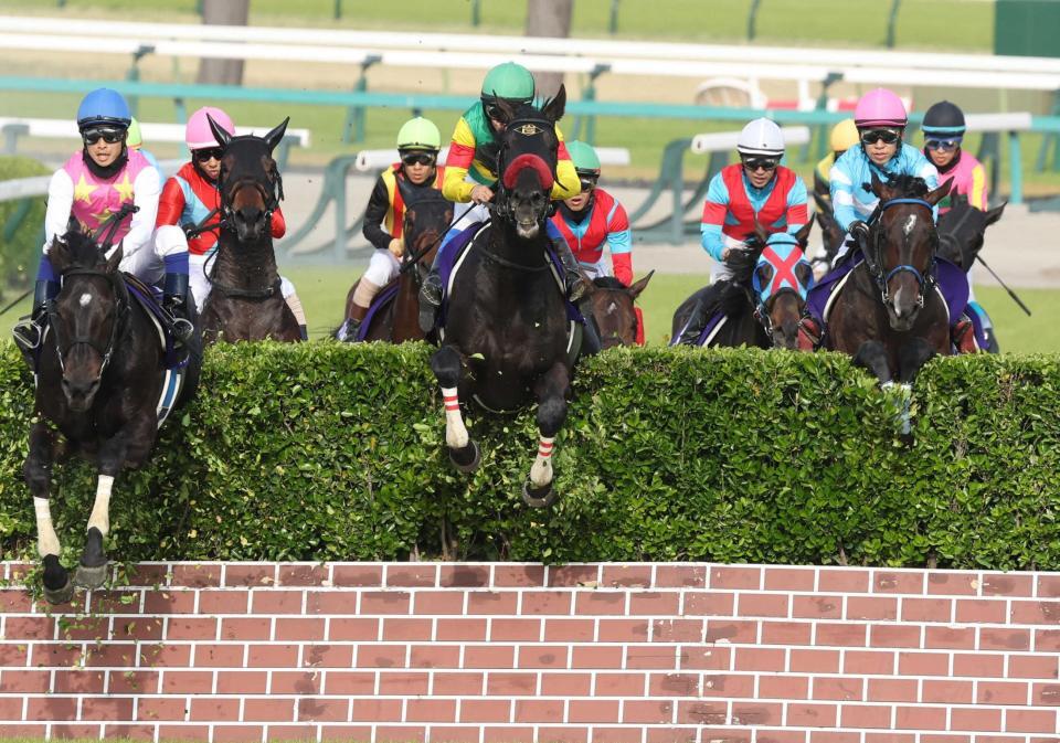 　大いけ垣障害を飛越するエコロデュエル（中央）