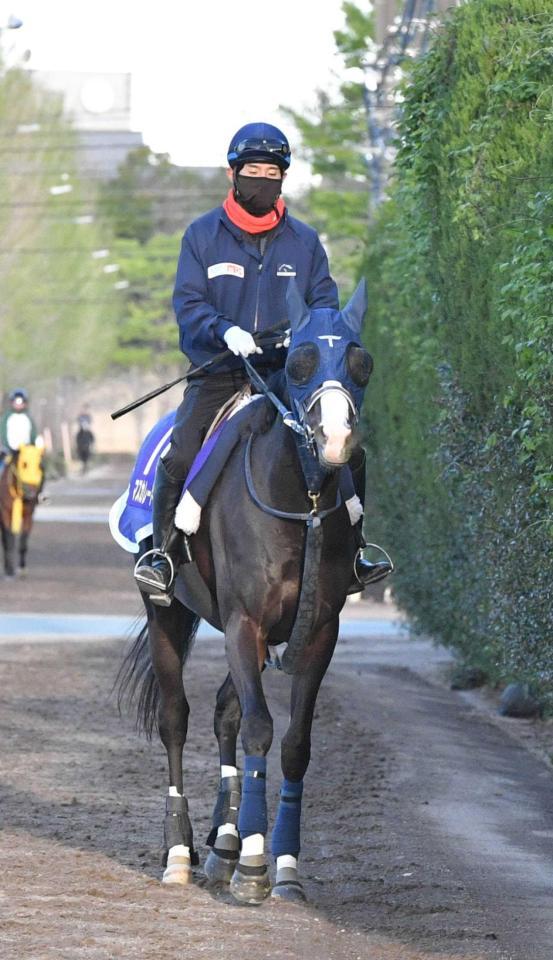 　マスカレードボール