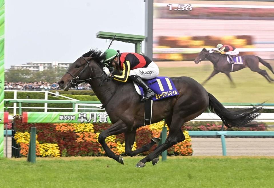 ミュージアムマイル メイクデビュー中京～弥生賞 全５戦 現地単勝馬券♪ f_18718970.jpg