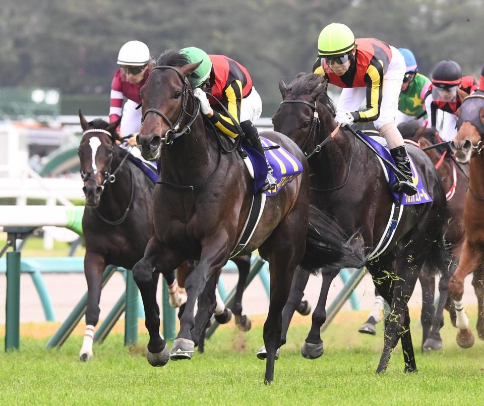 　皐月賞を制したミュージアムマイルと２着のクロワデュノール（右）＝撮影・園田高夫