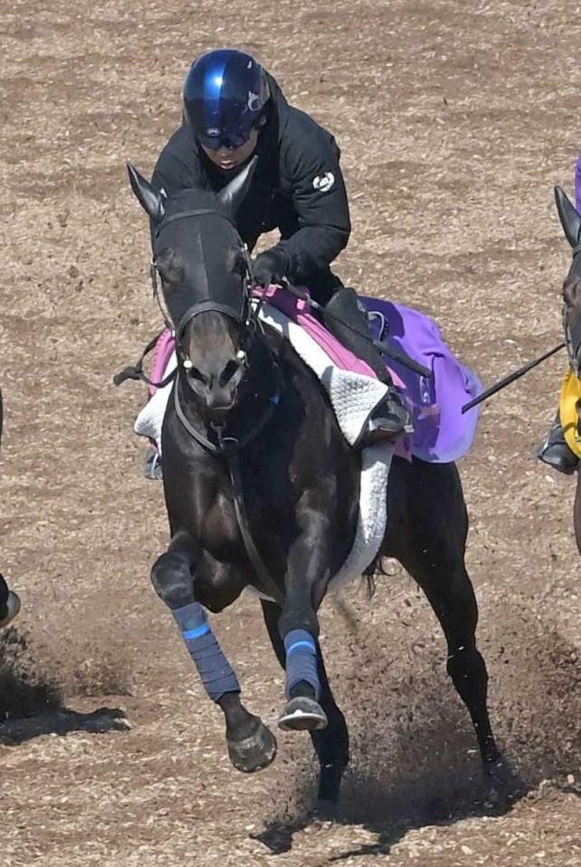 　樫切符獲りに燃えるエストゥペンダ