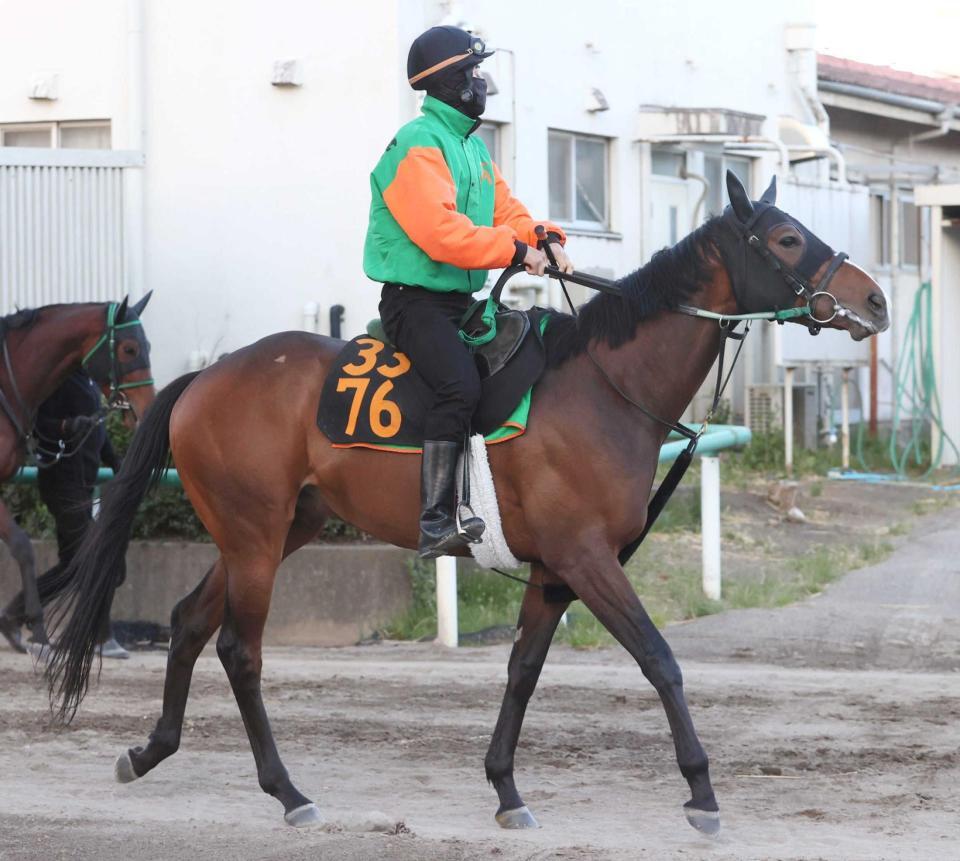 　祭典出場を目指してトライアルに挑むスワローシチー