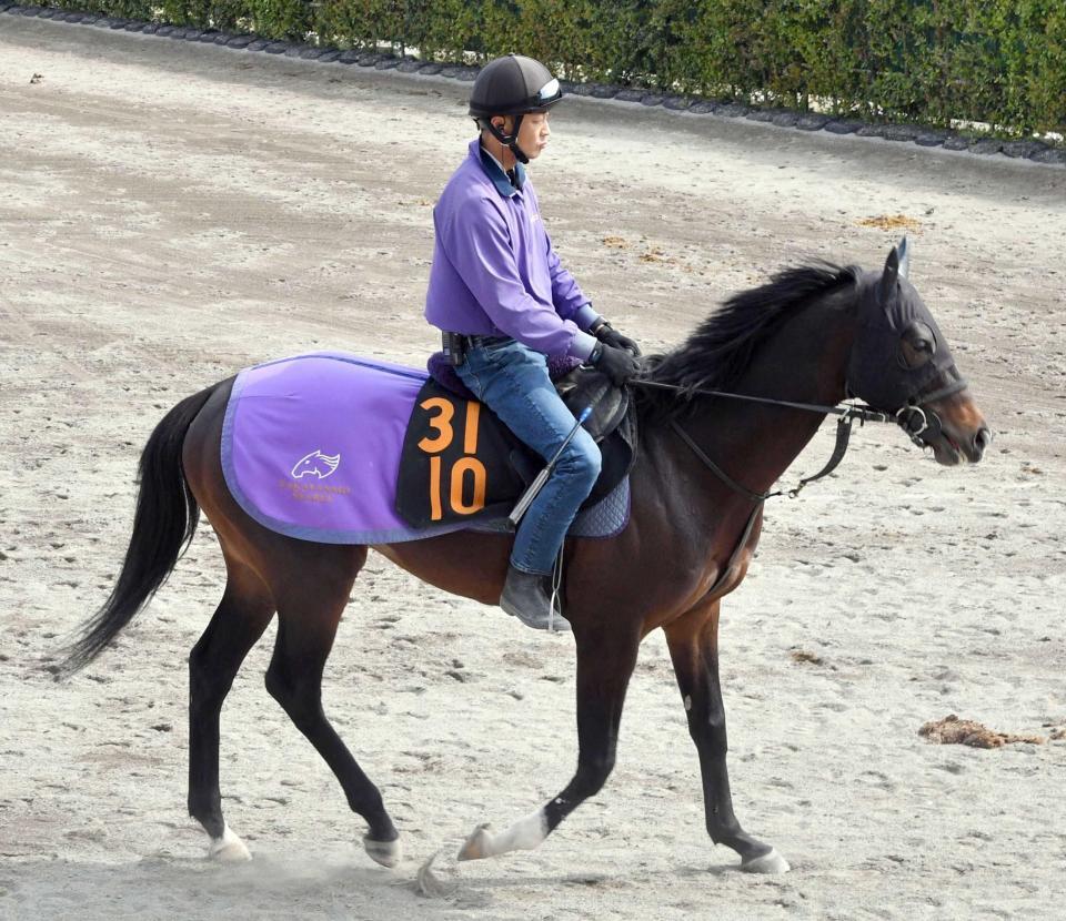 　無傷３連勝で重賞制覇を狙うエネルジコ