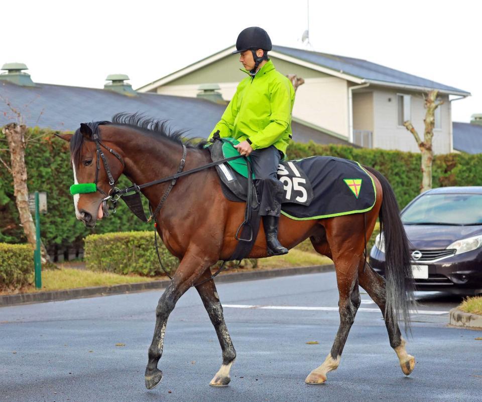 　データ班イチ推しのゲルチュタール