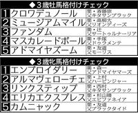 　３歳牡馬、牝馬格付けチェック