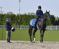 　レースに向け調整されるガルダイアと国枝師（左）