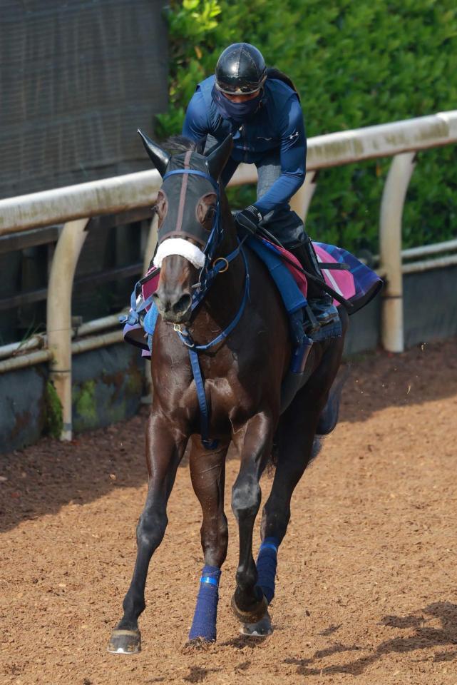 　オークスの権利獲得を狙うグローリーリンク（撮影・石湯恒介）