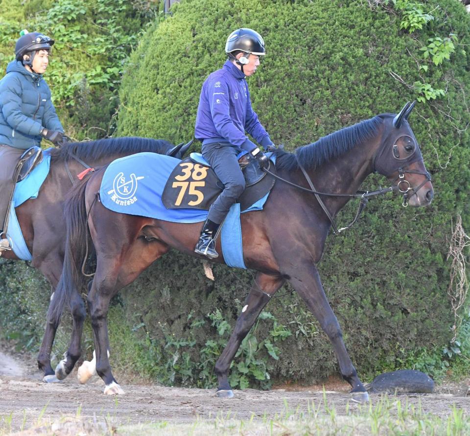 　国枝厩舎ゆかりの良血馬アマキヒ