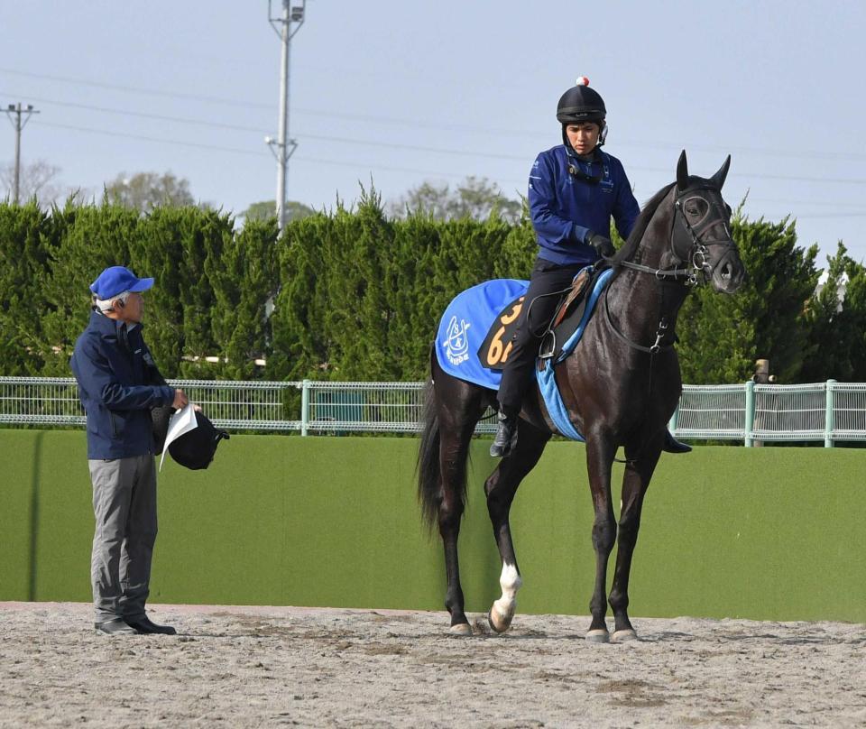 　レースに向け調整されるガルダイアと国枝師（左）