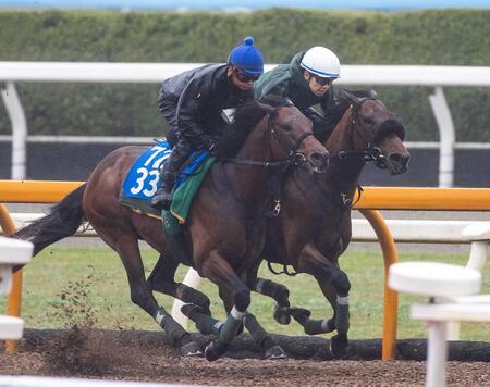 【マイラーズＣ】セオ　満点走“悲願”重賞初勝利へ　上村師は納得の表情「充実した状態で出られる」