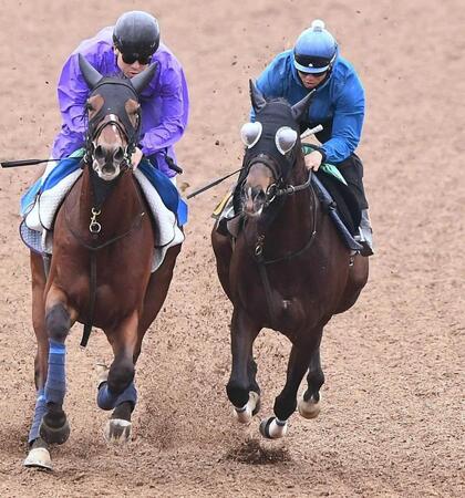 　無傷３連勝でのダービー出走を狙うエネルジコ（右）＝撮影・園田高夫