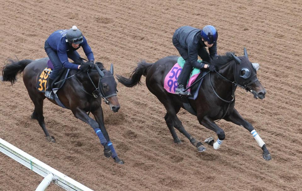 　オークスへの切符奪取へ順調な仕上がりを見せたエストゥペンダ（右）